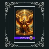 card-21