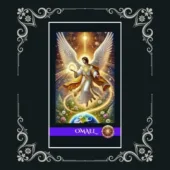 card-13